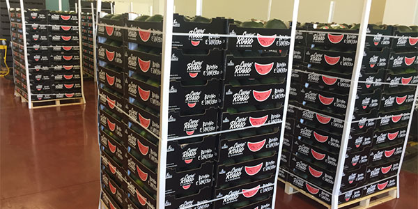 Angurie, premiati i prodotti dall'elevato grado brix