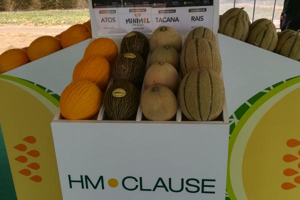 Meloni, ecco come Hm.Clause sprona il mercato