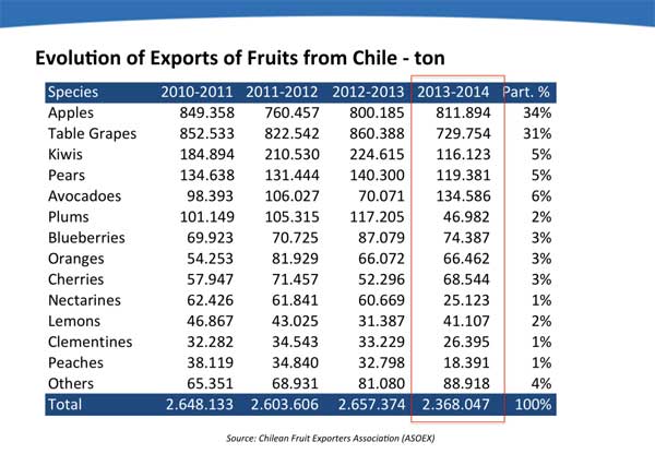 Viaggio in Cile, dove esportare frutta è una vocazione 