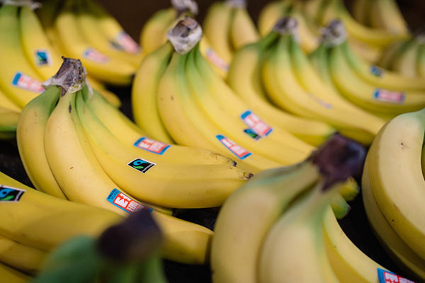 Banane, attivo il salario base per i coltivatori Fairtrade