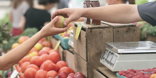 Niente scontrino elettronico per gli agricoltori