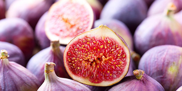 Fico, la nicchia dell'eccellenza