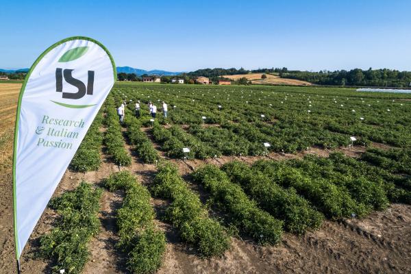 Isi Sementi, l'innovazione varietale si tocca con mano