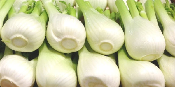 Il finocchio risale la china dopo un anno nero