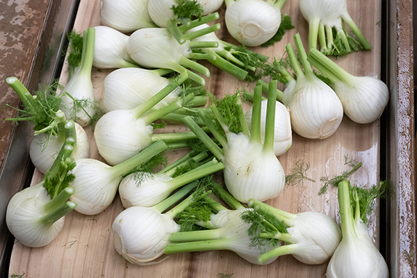 Op Mita, la specializzazione paga