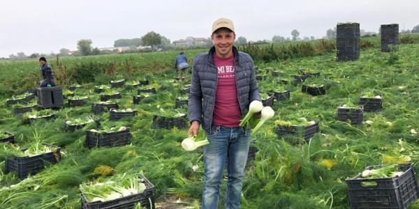 Finocchio Sirente, risultati interessanti nel Fucino