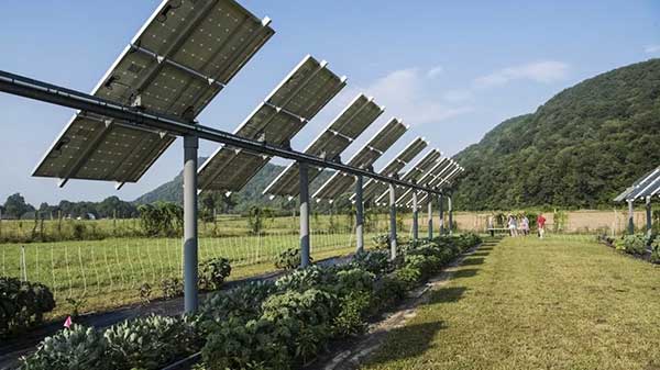 Pannelli fotovoltaici e ortaggi, risorse infinite