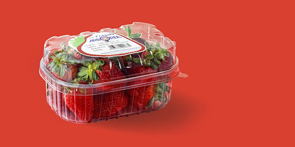 Fragole in Sardegna: tutto nasce da Arborea