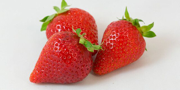 Salvi Vivai, qualità e shelf life per la fragola Flaminia