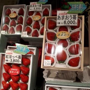 Fragole Giappone