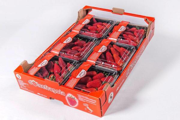 fragole