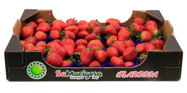 Arriva «La Rossa» di Sardegna