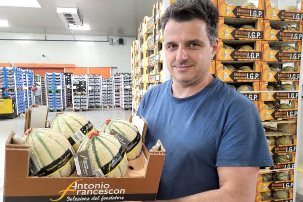 Il melone diventa millesimato