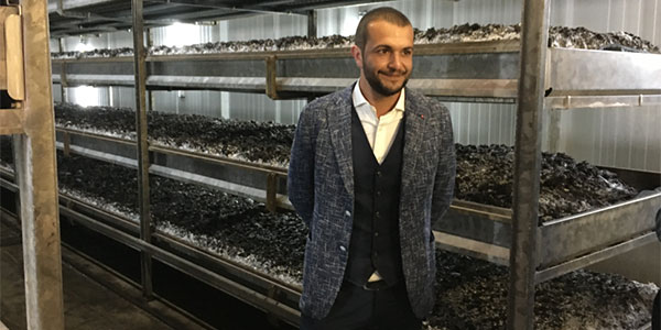 Viaggio dentro le fungaie, raccolta per 365 giorni l'anno