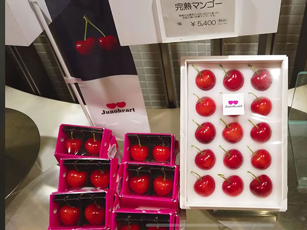 «Giappone, 8 euro per una confezione da due ciliegie»
