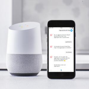 Assistente Google Esselunga