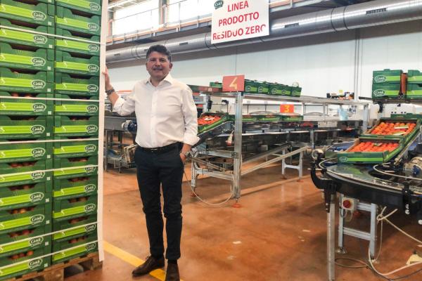 Albicocche, la Romagna parte con ottimismo