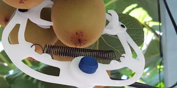 Impianti più produttivi con il nodo di accrescimento