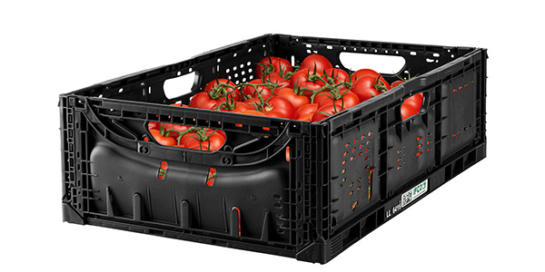 Cassette Ifco, a Rimini gli studi su qualità e sicurezza