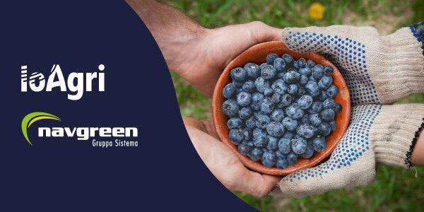IoAgri e Navgreen, insieme per l'ortofrutta