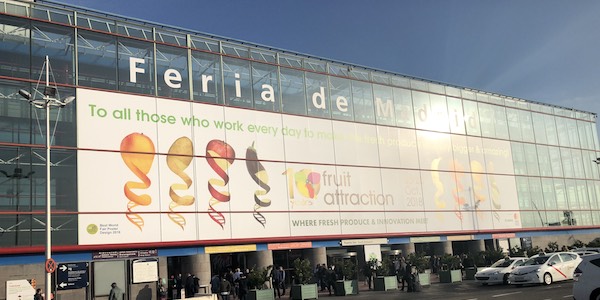 «Fruit Attraction fisica e live: siamo pronti»