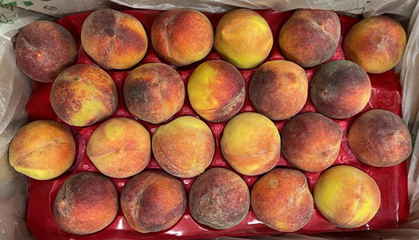 Pesche e nettarine: in Veneto richiesta la polpa bianca