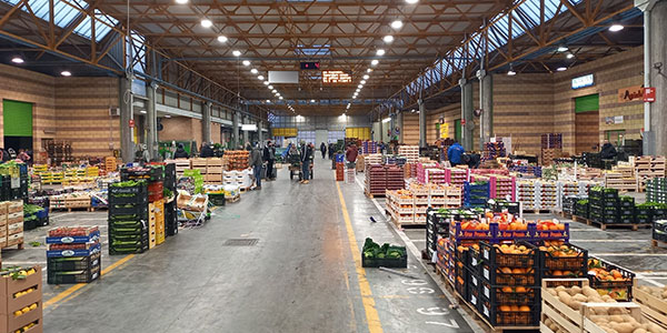 Gli ortaggi sotto la lente di IFN