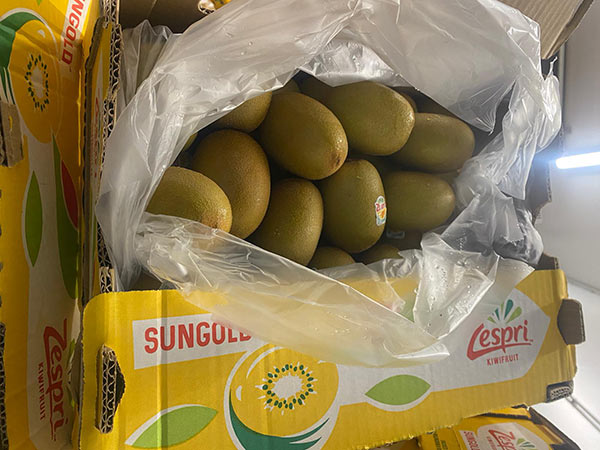 Arrivano in mercato i kiwi Zespri SunGold