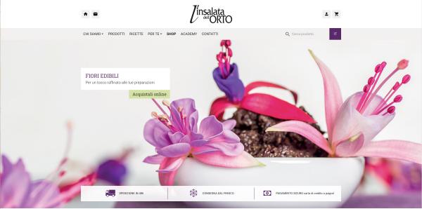 L'Insalata dell'Orto