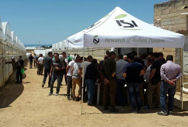 Isi Sementi serra demo pomodori Sicilia