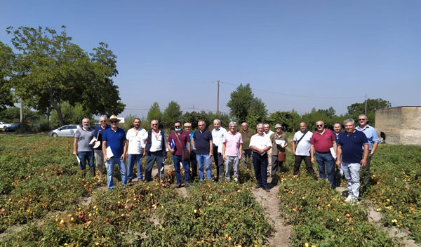 Italia Ortofrutta e Crea per il pomodoro da industria
