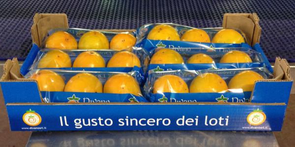 Kaki, Divano approda anche in Eurospin