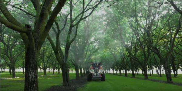 Come ottenere gherigli più pesanti e dal colore ottimale