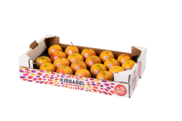 Kissabel, riparte il raccolto di Orange e Jaune