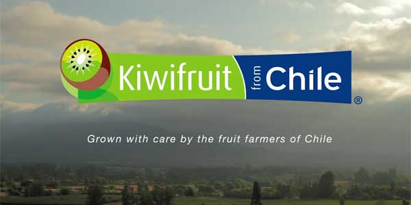Settimana del kiwi cileno all'Expo [VIDEO]