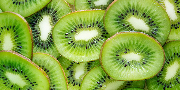 Kiwi: produzione scarsa, incognite moria e cimice asiatica 
