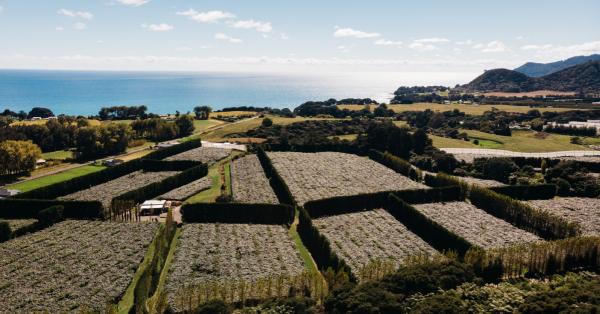 Libero scambio tra Ue e Nuova Zelanda, brindano i kiwi