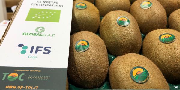 Clementine e kiwi, la Calabria scalda i motori