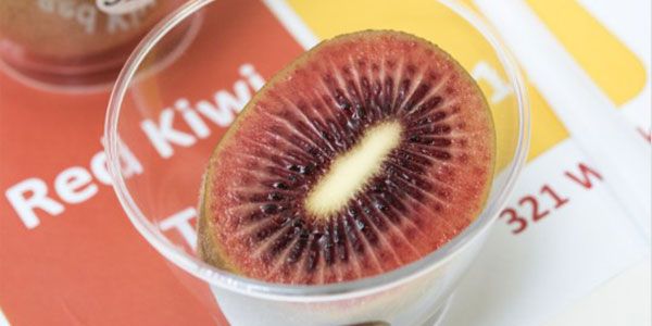 Kiwi, è ufficiale: Zespri allarga la gamma col rosso 