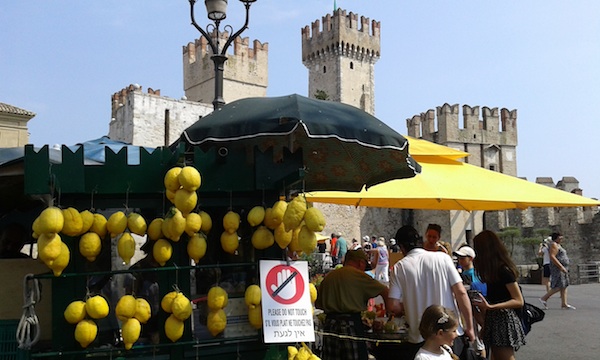 Sirmione, i limoni del Garda danno il benvenuto