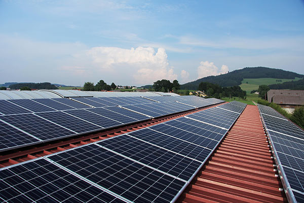 Sostenibilità, La Linea Verde investe nel fotovoltaico