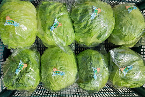 «Iceberg, il mercato preferisce quella estera»