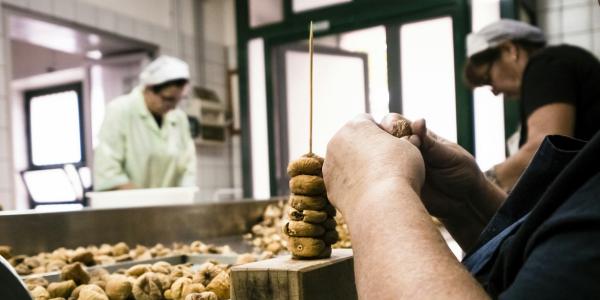 Fichi secchi, ecco come la tradizione calabrese si innova