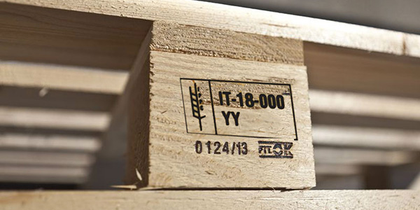 Imballaggi in legno: come arginare muffe e funghi