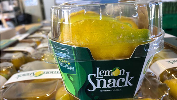 Agrumi ibridi, il limequat italiano è pronto
