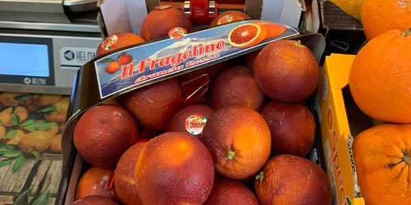 Tarocco Lempso sempre più apprezzato dall'Europa