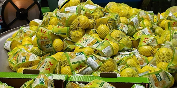 Limoni e arance, vendite a passo lento ma (almeno) regolari