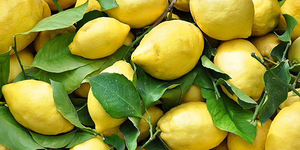 Limoni turchi, ritirati 10 lotti contaminati