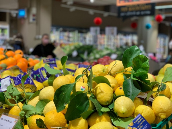 Limoni italiani, il rischio di perdere la bussola