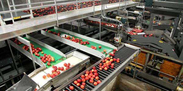 Leni's, tre prodotti bio realizzati con le mele del Trentino